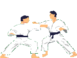 jojudo.gif (3566 Byte)